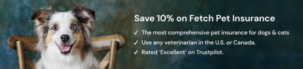 Pet Vet Ins Fetch Ad