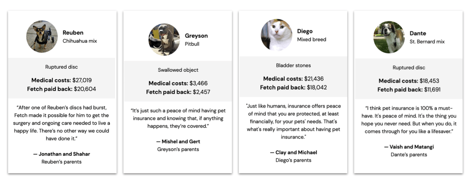testimonials from Fetch-1